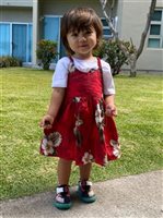 Pacific Legend Hibiscus Monstera Red Cotton Toddlers Hawaiian Bungee Dress