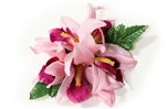 (With 5 Flowers) Pink Small Vanda Orchid Hair Clip 5"