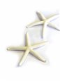 Starfish Ornament Small Set of 2