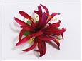 Mauve Extra Small Spider Lily Hair Clip 3.75&quot;