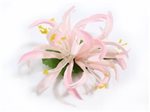 Pink Extra Small Spider Lily Hair Clip 3.75"