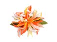 Orange &amp; White Small Spider Lily Hair Clip 4.5&quot;