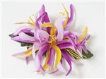 Gradation Lavender Small Spider Lily Hair Clip 4.5"