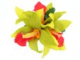 Green &amp; Red Extra Small Hair Clip 3.5&quot; Orchid