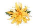 Saffron Yellow Small Spider Lily Hair Clip 4.5"