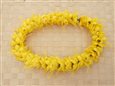 Yellow Ohai Alii Headband