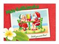 Island Heritage Shave Ice Lovebirds II Boxed Christmas Card 12 cards &amp; 13 envelopes