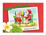 Island Heritage Shave Ice Lovebirds II Boxed Christmas Card 12 cards & 13 envelopes