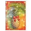 Island Heritage Island Joy 12-CT Deluxe Box Christmas Card