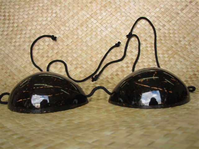 Full Cup Coconut Bra | AlohaOutlet