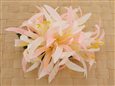 Pink &amp; White Large Spider Lily Hair Clip 6&quot;