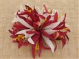 Mouve &amp; White Large Spider Lily Hair Clip 6&quot;