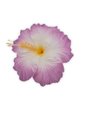 Light Purple Jumbo Hibiscus Hair Clip 6.5&quot;