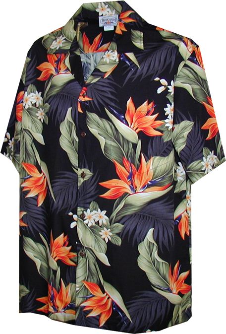 mens white and pink shirt