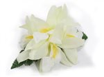 (With 5 Flowers) White Small Vanda Orchid Hair Clip 4"
