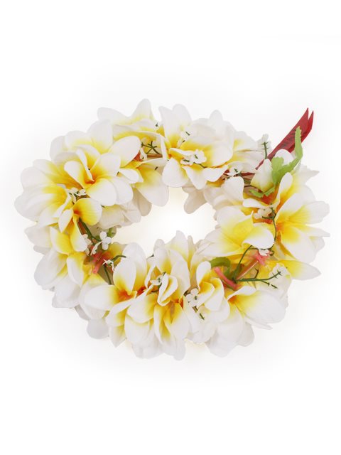 White & Yellow Plumeria Headband (Haku Lei) | AlohaOutlet