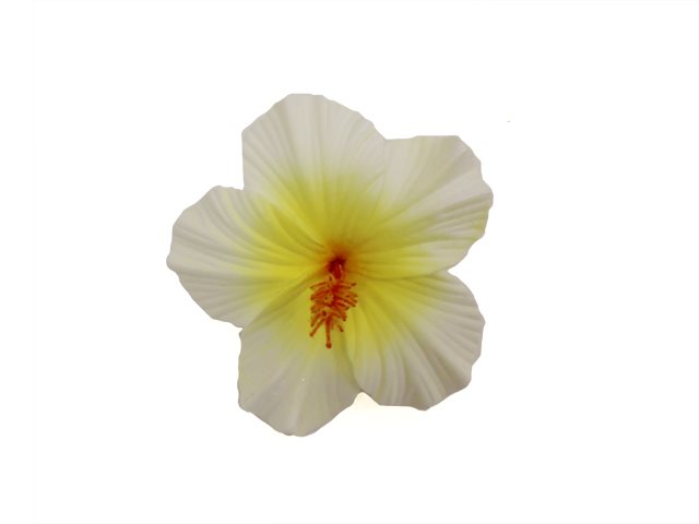 White & Yellow Medium Hibiscus Hair Clip 