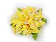 Yellow Spider Lily Hair Clip 4&quot;x 4.5&quot;