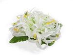 White Spider Lily Hair Clip 4"x 4.5"