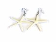 Starfish Earings