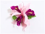 (With Three Flowers) Pink Extra Small Vanda Orchid Hair Clip 3.5"
