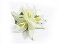 (With 3 Flowers) White Extra Small Vanda Orchid Hair Clip 3.5&quot;