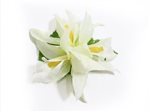(With 3 Flowers) White Extra Small Vanda Orchid Hair Clip 3.5"