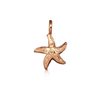 Paradise Collection Sterling Silver with Rose Gold Starfish Charm