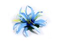 Sky Blue Extra Small Spider Lily Hair Clip 3.75&quot;