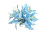 Sky Blue Small Spider Lily Hair Clip 4.5"