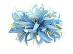 Sky Blue Large Spider Lily Hair Clip 6"