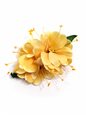 Yellow Kahili Ginger Hair Clip x 3.5&quot;