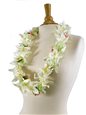 White &amp; Pink Vanda orchid with rose Lei