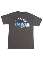 Surf Hawaii Gray Cotton Men's Hawaiian T-Shirt