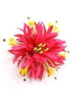 Pink Large Spiderlily Hair Clip 5"
