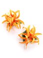 Orange Spider Lily Keiki Hair Clip 2.75&quot; 2Piece Set
