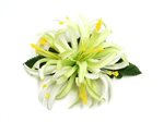 Green & White Small Spider Lily Hair Clip 4.5"