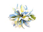 Sky & White Small Spider Lily Hair Clip 4.5"