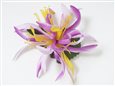 Gradation Lavender Spider Lily Hair Clip 4.5&quot;