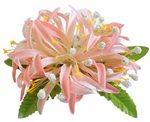 Pink Spider Lily Hair Clip 4"x 4.5"