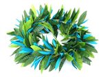 Turquoise Elastic Maile&Spiderlily Headband 17"