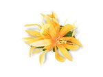 Saffron Yellow Extra Small Spider Lily Hair Clip 3.75"
