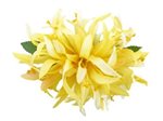 Lemon Yellow Large Spider Lily Hair Clip 6"
