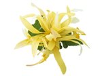 Lemon Yellow Extra Small Spider Lily Hair Clip 3.75"