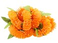 Orange Ilima Hula Hair Clip 7.5&quot;x6.3&quot;
