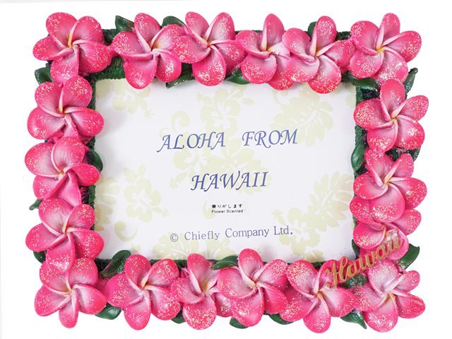 Pink Plumeria Photo Frame