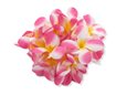 Cherry Pink Aloha Plumeria Double Bracelet 1Piece