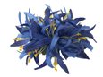 Blue Large Spider Lily Hair Clip 6&quot;