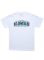 メンズハワイアンTシャツ [ハワイ/ホワイト]