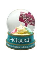 KC Hawaii Seashells Water Globe